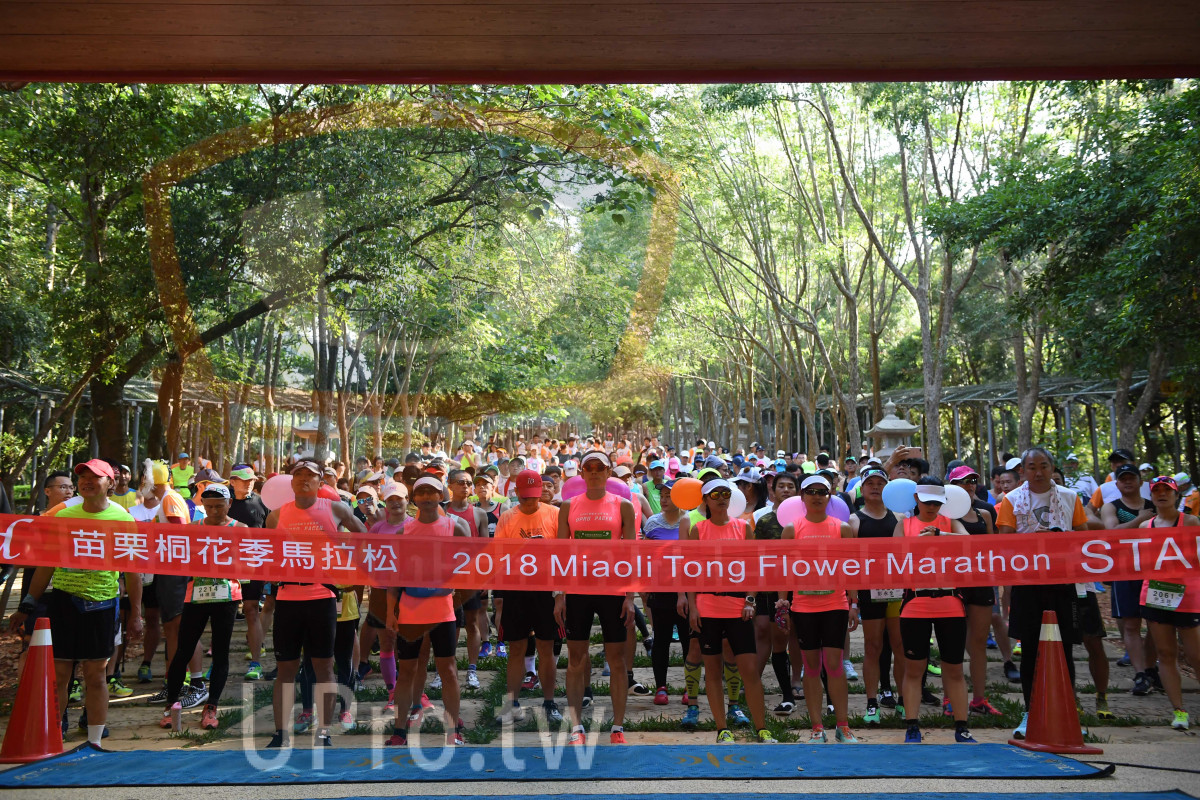 ,,2018 Miaoli Tong Flower Marathon STA|會場出發|中年人