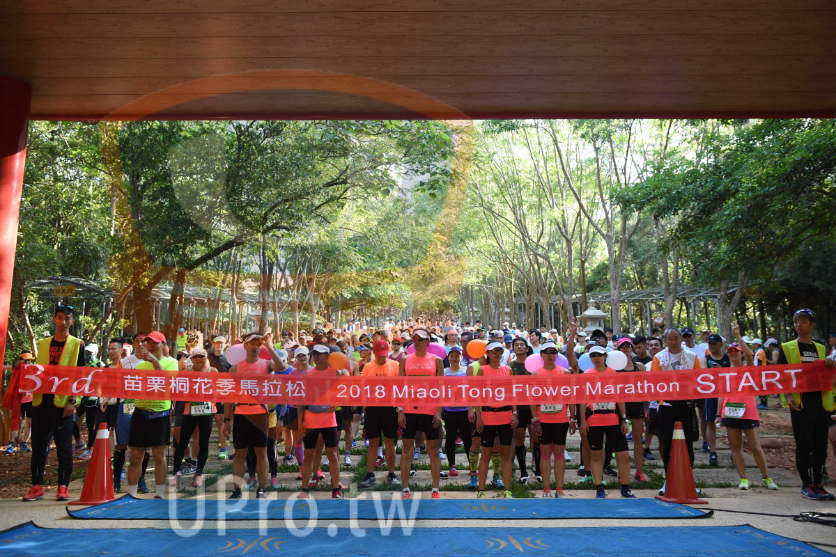 ,201 8 Miaoli-Tong Flower Marathon,STARI|會場出發|中年人