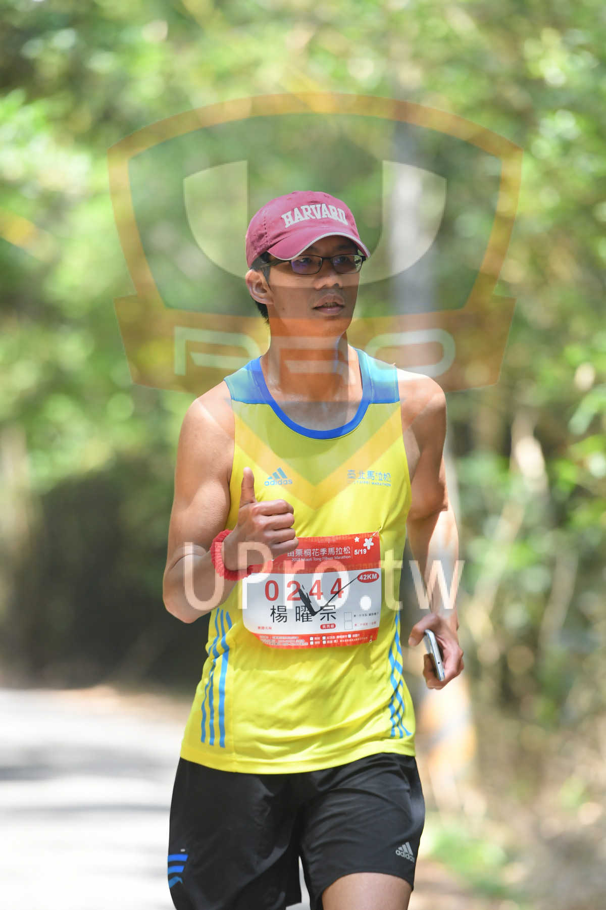 adidaS,,2013 Miaali lang FiSaver Marathon,5,19,0244,42KM|綠色隧道2|中年人
