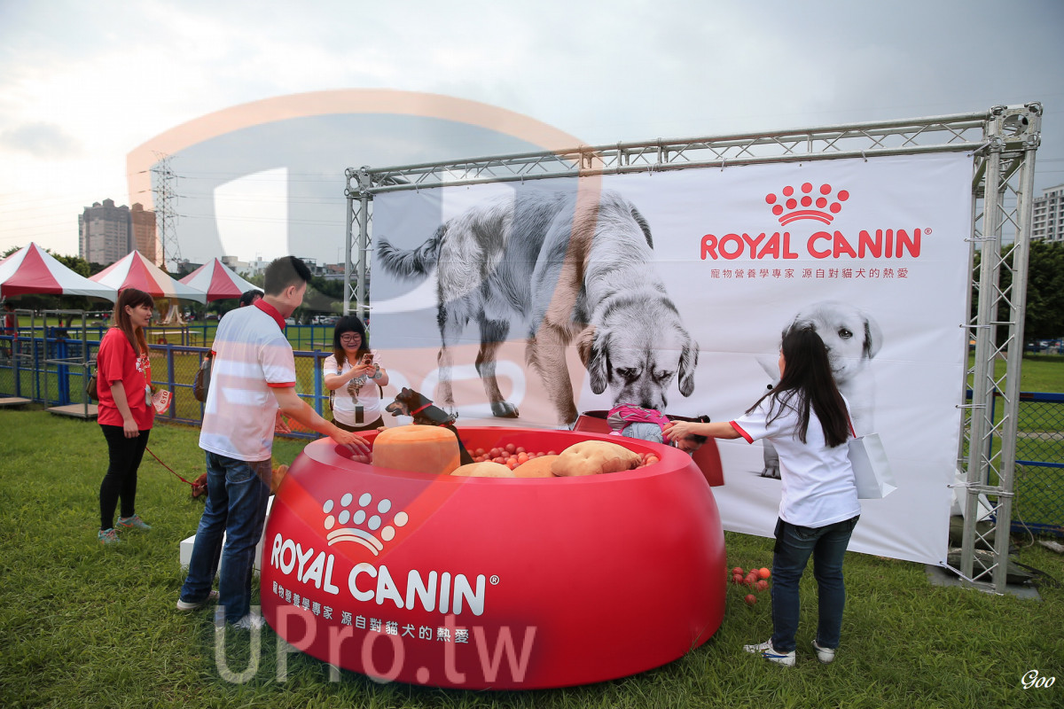 ROYAL CANIN,ng,,,Goa|