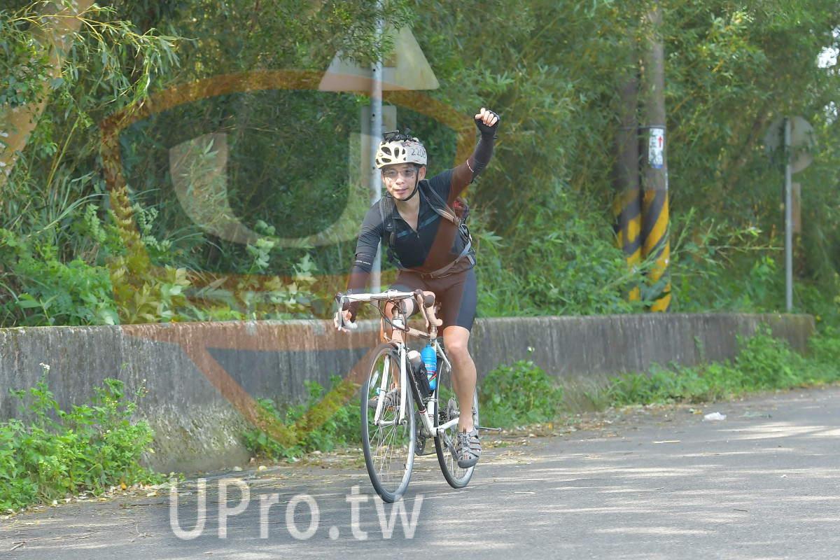 UPF,2208,1P,cicle,UC|