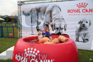 ()：ROYAL CAN,寵物營養學專家源自對貓犬的,Goo