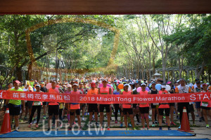 會場出發(中年人)：苗栗桐花,季馬拉松,2018 Miaoli Tong Flower Marathon STA