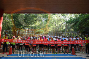 會場出發(中年人)：苗栗桐花季馬拉松,201 8 Miaoli Tong Flower Marathon,START