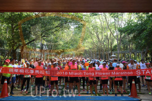 會場出發(中年人)：苗栗桐花季馬拉松,20 1 8 Miaoli Tong Flow,er Marathon STA