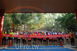 會場出發(中年人)：苗栗桐,花季馬拉松,lower Marathon START,2018 Miaoli Tong F