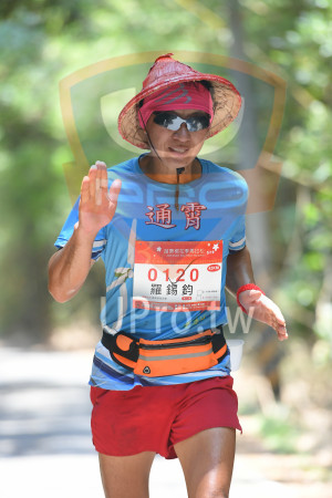 綠色隧道3(中年人)：巡肖,*苗栗桐花季馬拉松5/19,2013 Miasi Tang ㅋewer Marathon,01 20,羅錫鈞,42KM