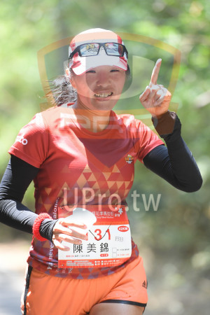 綠色隧道5(中年人)：花季馬拉松,Tong Fliwer Marathon,5/19,42KM,F333,陳美錦,團體名稱鐵肝三項代表