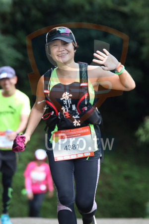 ()：地馬拉松,42K ,-, C組,謝金燕,4381