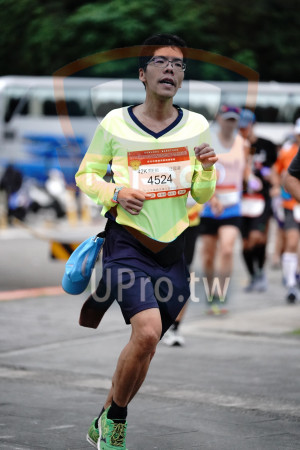 ()：馬拉松,42K男E組,汪國豪,4524