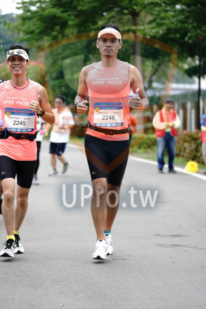 ()：UPR0 PACER,UPRD PACER,2246,2245