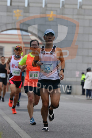 ()：寧古,019鍆馬拉松,全程馬拉松42.195 KM,375,江文林,5396,900金門馬拉松,5186