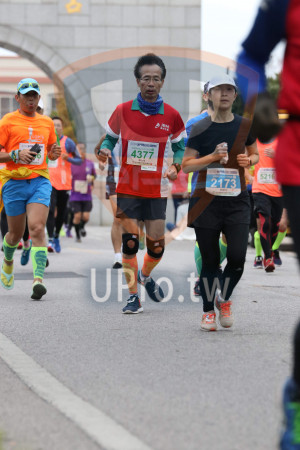 ()：かBM,2010金門馬拉松,43が,2173