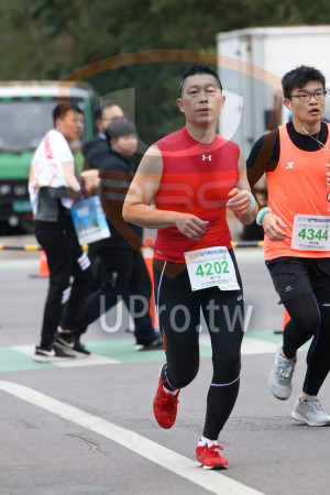 ()：2019金門馬拉松,半程馬拉松21 0975XT:0,4344,陳宥璿,4202