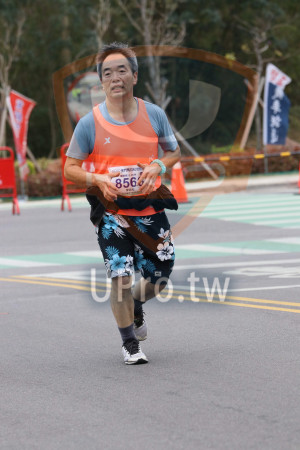 ()：2010金門馬拉松,跪跑相11.2KM,8566