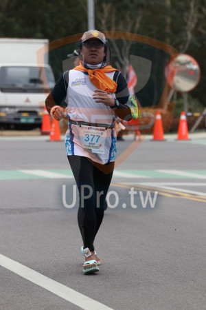 ()：2013,RUR,2019金門馬拉松,馬拉松42.195KM,377,詹樹榮