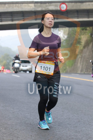 ()：陳宥汝,11 KM健跑組女生組,1101