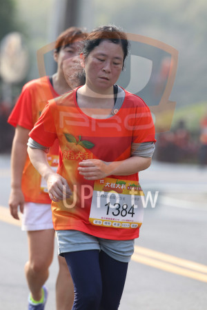 ()：11KM健跑組女生組,許麗環,1384,寄物