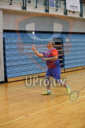 ()：IWAN TECH,Badminton Club