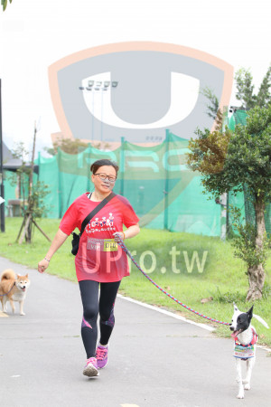 ()：跑,1狗小孩公益路,PHOTO,11B,VIP,56