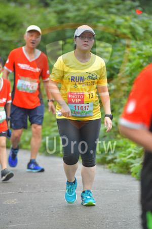 ()：RUN,Marathon 201E,越野馬拉松寶,21074,2019期三屆國,PHOTO,VIP,12,11617